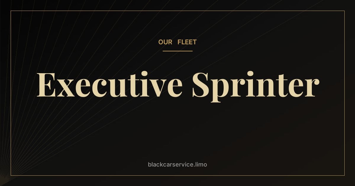 Executive Sprinter — What Makes an Executive Sprinter Van? Inside Luxury Van Conversions